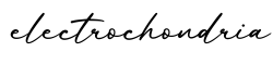 单词electrochondria书写