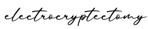 单词electrocryptectomy书写