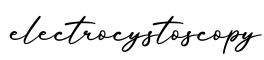 单词electrocystoscopy书写