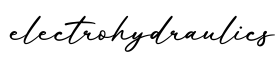 单词electrohydraulics书写