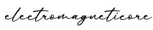 单词electromagneticore书写
