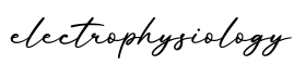 单词electrophysiology书写