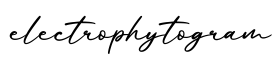 单词electrophytogram书写