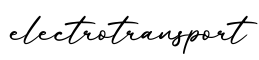 单词electrotransport书写