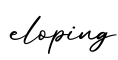 单词eloping书写