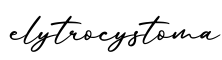 单词elytrocystoma书写