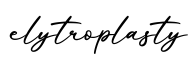 单词elytroplasty书写