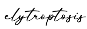 单词elytroptosis书写