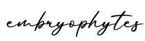 单词embryophytes书写