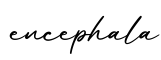 单词encephala书写