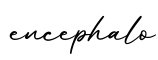 单词encephalo书写