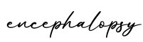 单词encephalopsy书写