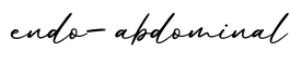 单词endo-abdominal书写