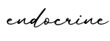单词endocrine书写