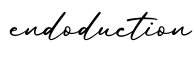 单词endoduction书写