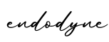单词endodyne书写
