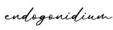 单词endogonidium书写