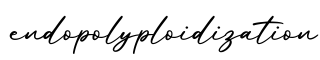 单词endopolyploidization书写