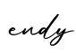 单词endy书写