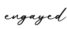 单词engayed书写