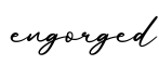 单词engorged书写