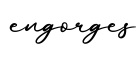 单词engorges书写