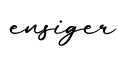 单词ensiger书写