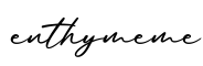 单词enthymeme书写