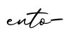 单词ento-书写
