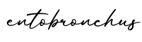 单词entobronchus书写