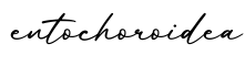 单词entochoroidea书写