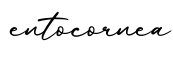 单词entocornea书写