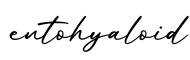 单词entohyaloid书写