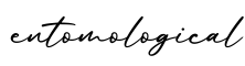 单词entomological书写
