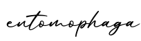 单词entomophaga书写