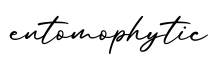 单词entomophytic书写