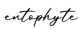 单词entophyte书写