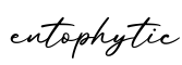 单词entophytic书写