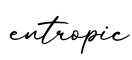单词entropic书写