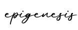 单词epigenesis书写