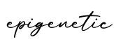 单词epigenetic书写