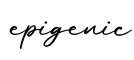 单词epigenic书写