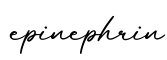 单词epinephrin书写