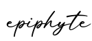 单词epiphyte书写