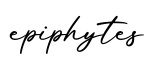 单词epiphytes书写