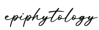 单词epiphytology书写