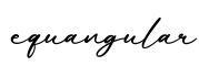 单词equangular书写