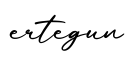 单词ertegun书写