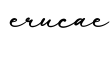 单词erucae书写
