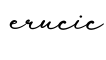 单词erucic书写